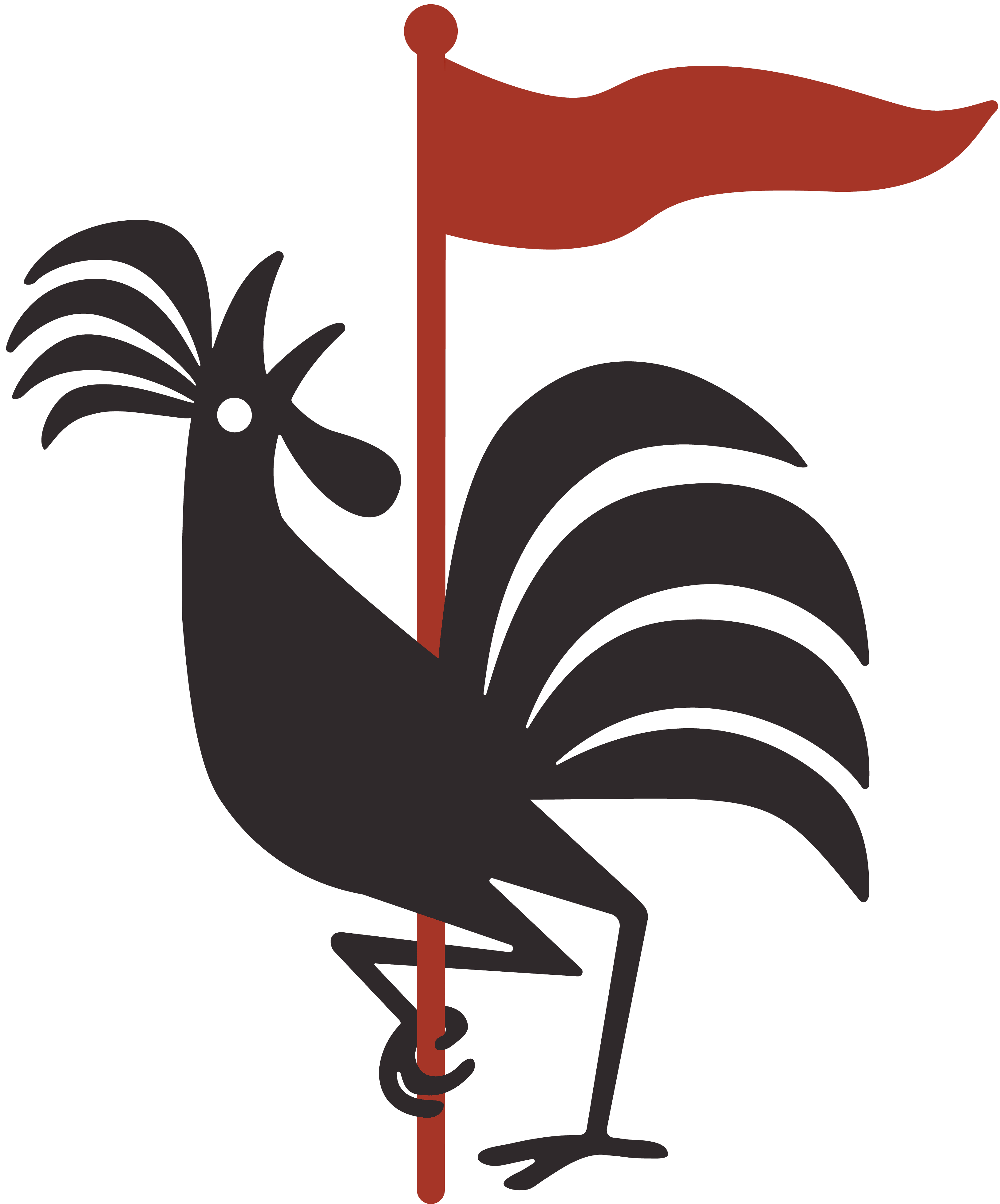 Meet Chuck the Rooster