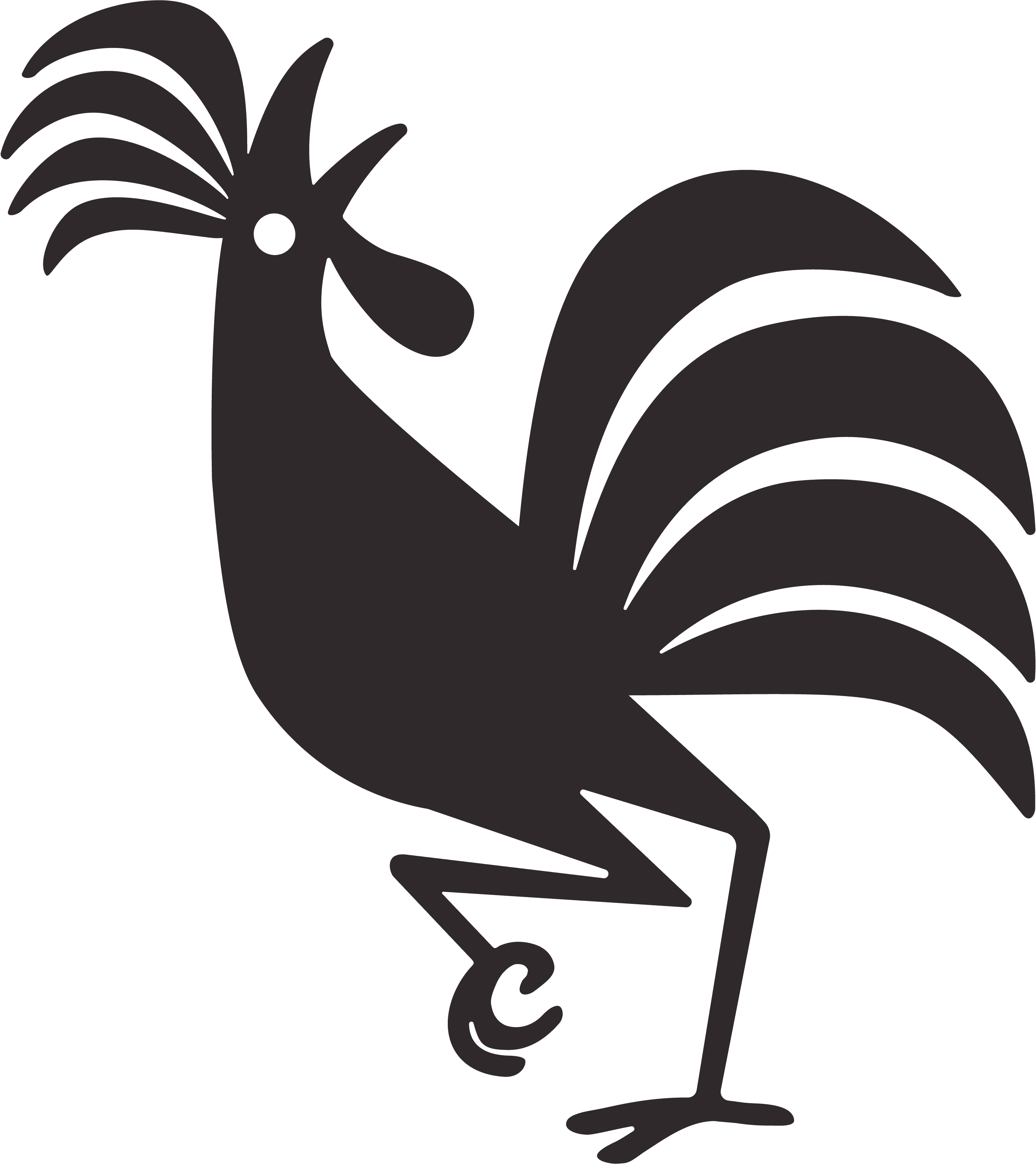 Meet Chuck the Rooster