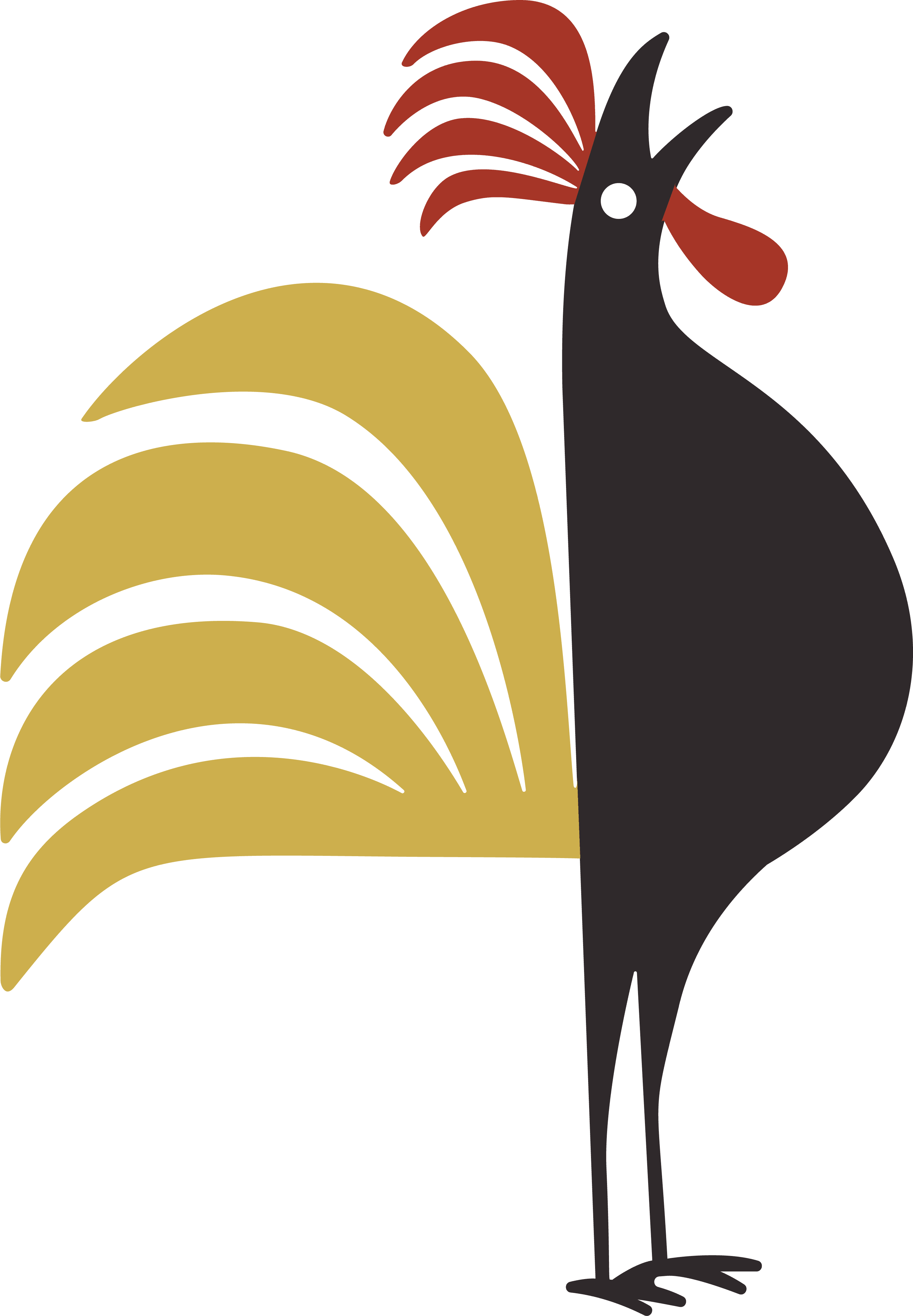 Meet Chuck the Rooster